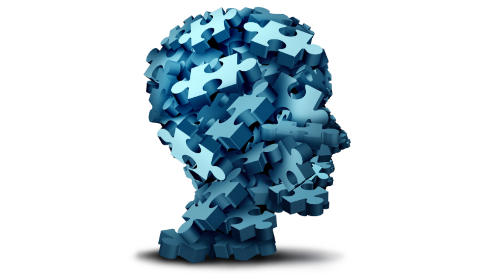 NeuroPlasticity