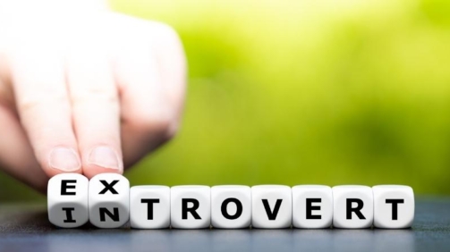 intro and extrovert